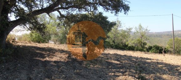 Terreno en Santa Catarina da Fonte do Bispo, Portugal 3620 m² No. 48817 9