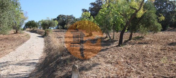 Terreno en Santa Catarina da Fonte do Bispo, Portugal 3620 m² No. 48817 24