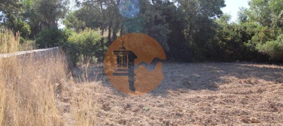 Terreno en Santa Catarina da Fonte do Bispo, Portugal 3620 m² No. 48817 6