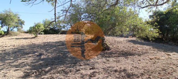 Terreno en Santa Catarina da Fonte do Bispo, Portugal 3620 m² No. 48817 17