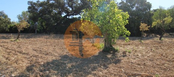 Terreno en Santa Catarina da Fonte do Bispo, Portugal 3620 m² No. 48817 2