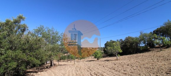 Terreno en Santa Catarina da Fonte do Bispo, Portugal 3620 m² No. 48817 19