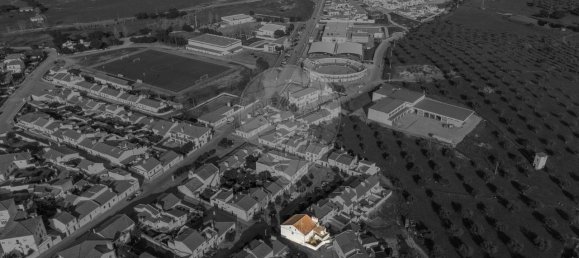 3 bedrooms House in Monforte, Portugal No. 19489 6