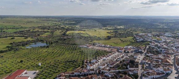 3 bedrooms House in Monforte, Portugal No. 19489 36