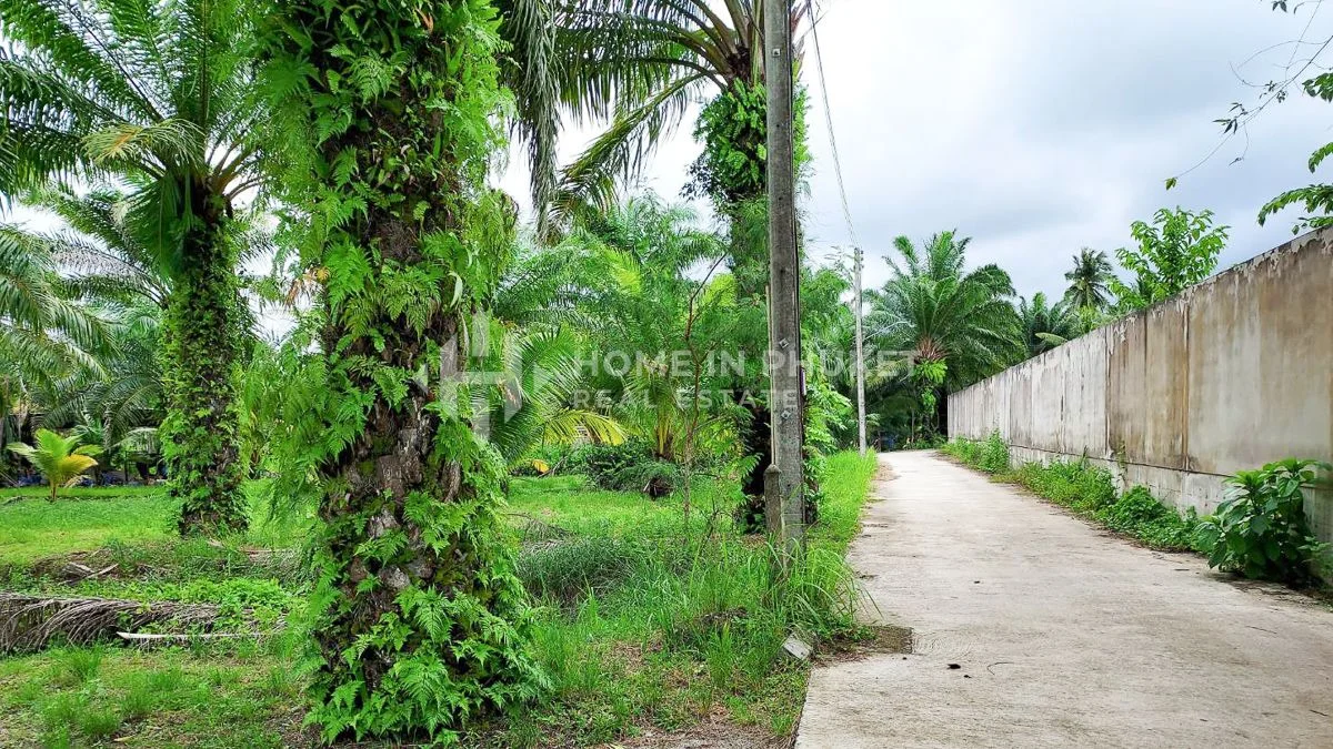  Land in Phuket, Thailand No. 60917