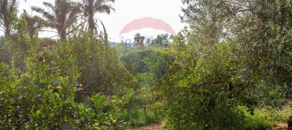 Terreno en Acireale, Italy 3800 m² No. 234711 18