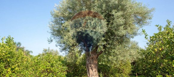 Terreno en Acireale, Italy 3800 m² No. 234711 14