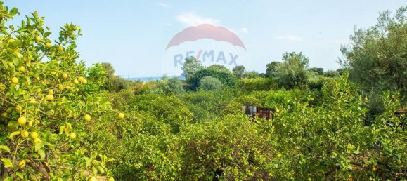 Terreno en Acireale, Italy 3800 m² No. 234711 21
