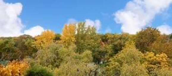 4 chambres Appartement à Charlottenburg, Germany No. 222450 2