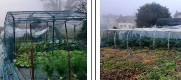 5-Zimmer Wohnung in Camisano Vicentino, Italy, Nr. 208308 19