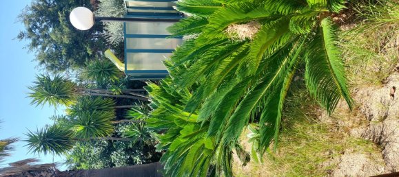 5 rooms Villa in Roccella Ionica, Italy No. 251890 13