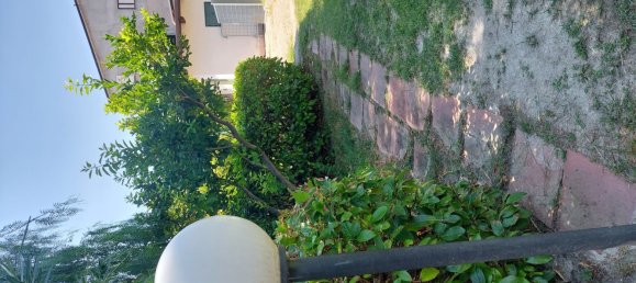 5 rooms Villa in Roccella Ionica, Italy No. 251890 10