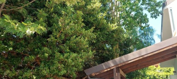 5 rooms Villa in Roccella Ionica, Italy No. 251890 5