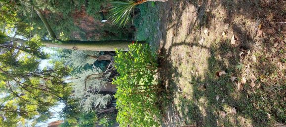 5 rooms Villa in Roccella Ionica, Italy No. 251890 8