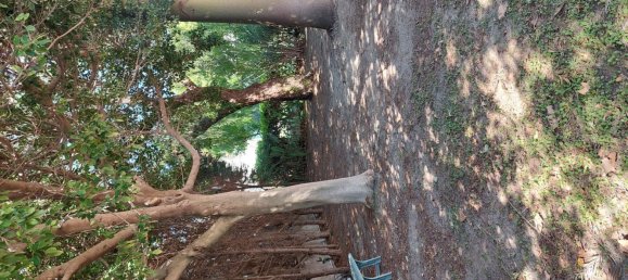 5 rooms Villa in Roccella Ionica, Italy No. 251890 9