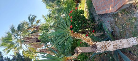 5 rooms Villa in Roccella Ionica, Italy No. 251890 6