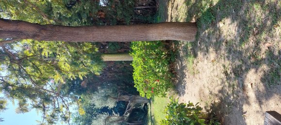 5 rooms Villa in Roccella Ionica, Italy No. 251890 18