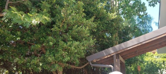 5 rooms Villa in Roccella Ionica, Italy No. 251890 4