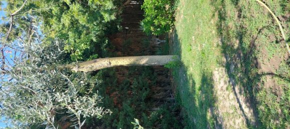 5 rooms Villa in Roccella Ionica, Italy No. 251890 11