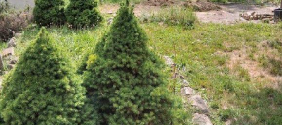 Casa T3 em Osnabruck, Germany N.º 239443 16