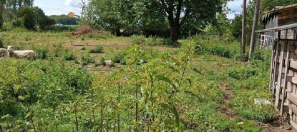 Casa T3 em Osnabruck, Germany N.º 239443 12