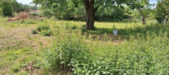 Casa T3 em Osnabruck, Germany N.º 239443 13