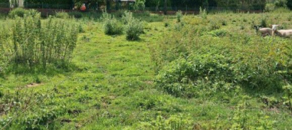 Casa T3 em Osnabruck, Germany N.º 239443 2