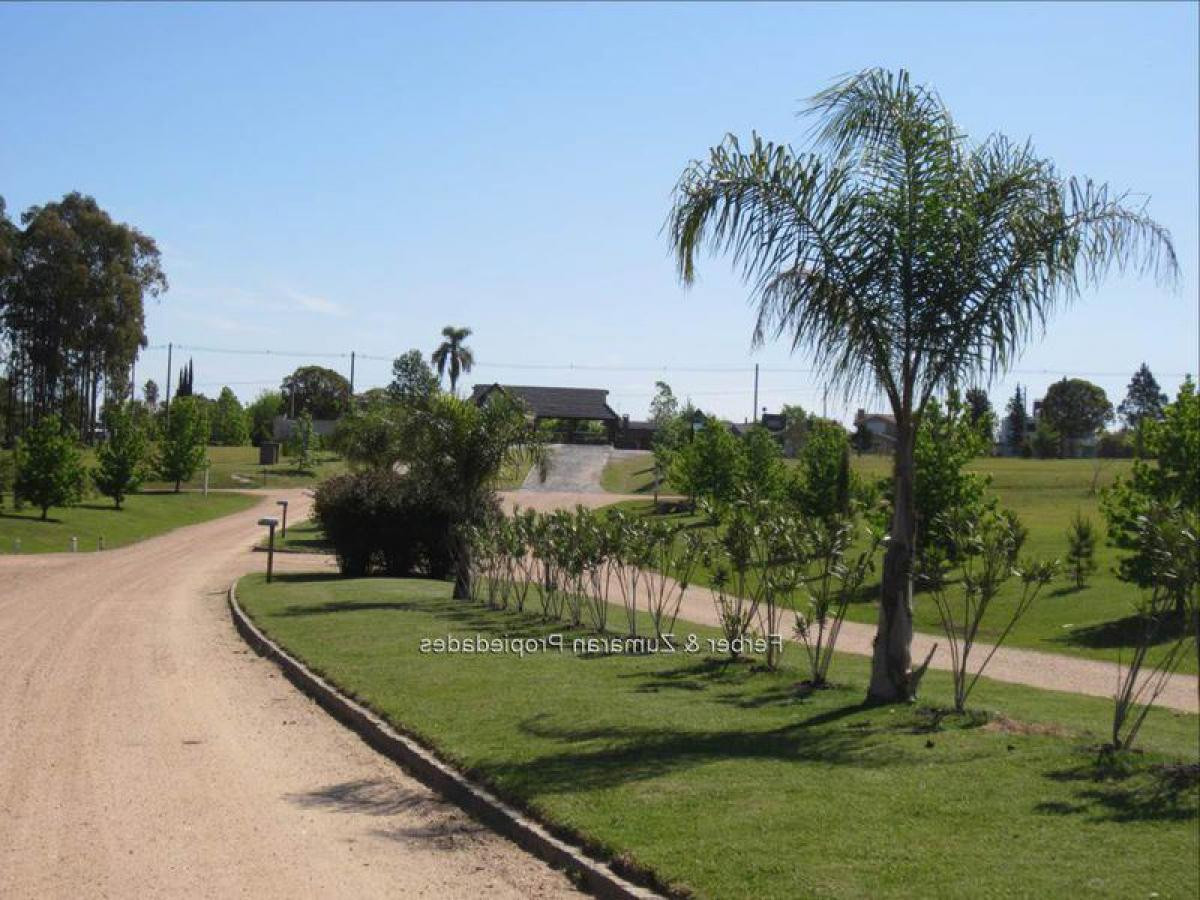  Land in Canelones, Uruguay No. 13983