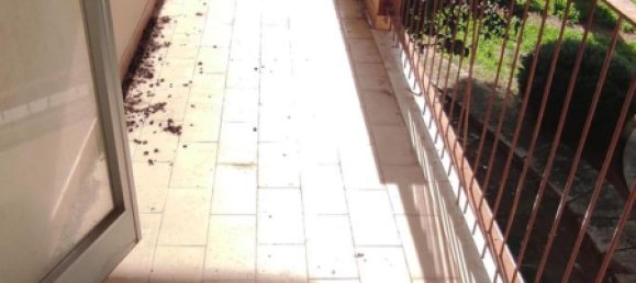 5 rooms Apartment in Vittoria, Italy No. 70962 15