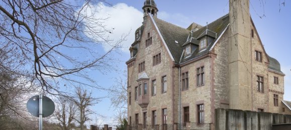 35 rooms Villa in Mansfeld-Sudharz, Germany No. 146453 27