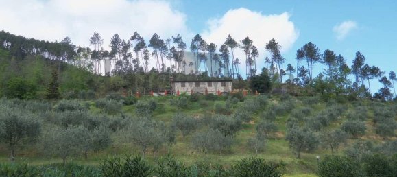 Дом с 4 спальнями в Капаннори, Италия № 138148 3