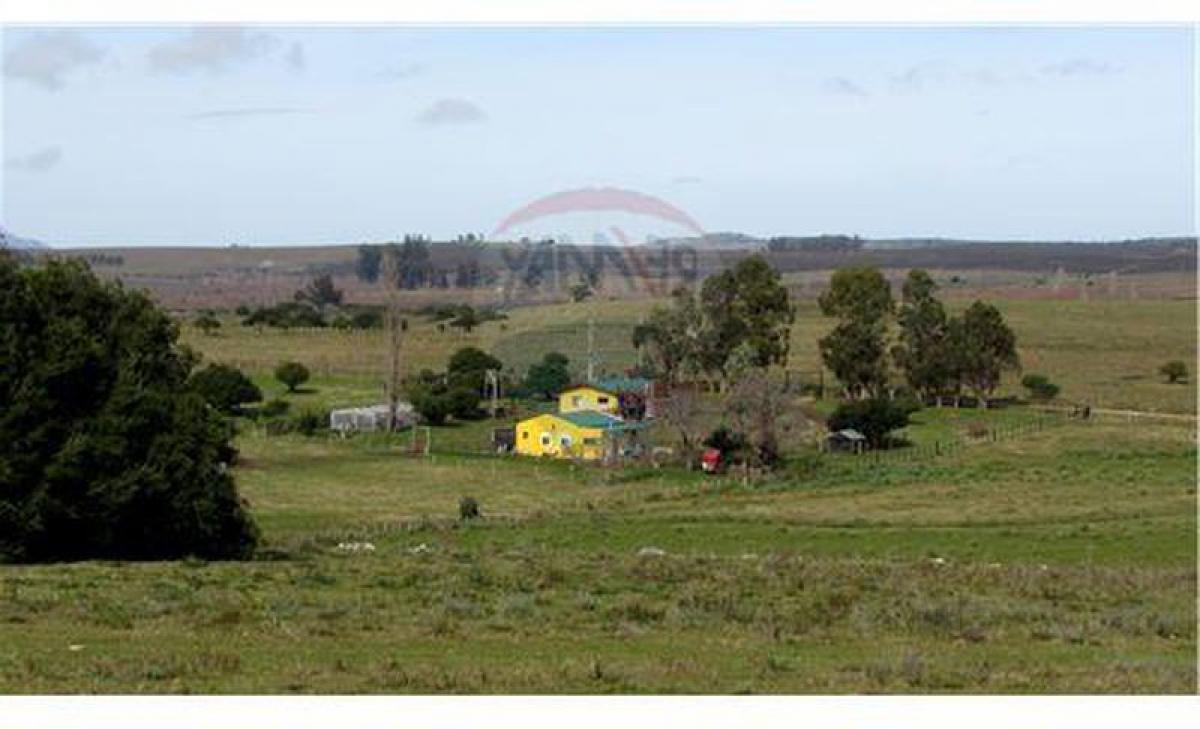 2 bedrooms House in Maldonado, Uruguay No. 1632