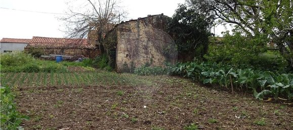 3 غرف نوم منزل في Penacova, Portugal رقم 34276 6