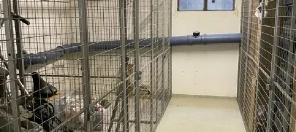 Apartamento de 2 dormitorios en Rhein-Pfalz, Germany No. 235402 16