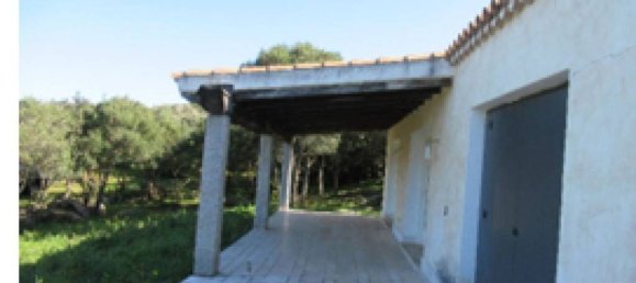 4غرفة شقة في Arzachena, Italy رقم 257902 9