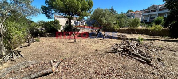  قطعة أرض في Corigliano Rossano, Italy 1170متر مربع رقم 260035 4