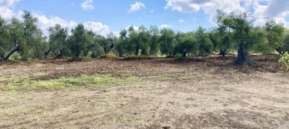 Casa de 10 habitaciónes en Guardistallo, Italy No. 127476 50