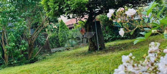 5-Zimmer Haus in Mulhouse, France, Nr. 64711 14