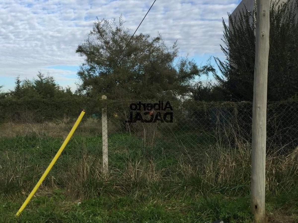 Земельный участок в Campo Creado, Аргентина № 49862