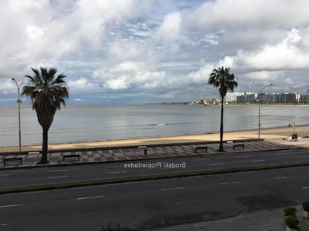 4 Schlafzimmer Wohnung in Montevideo, Uruguay, Nr. 11389