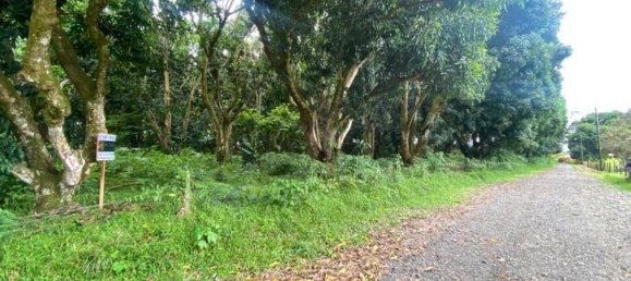 terrain à vendre à San Mateo, San Mateo , Alajuela, Costa Rica № 1563 2