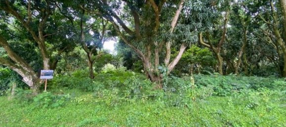 terrain à vendre à San Mateo, San Mateo , Alajuela, Costa Rica № 1563 4