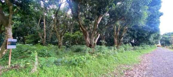 terrain à vendre à San Mateo, San Mateo , Alajuela, Costa Rica № 1563 5