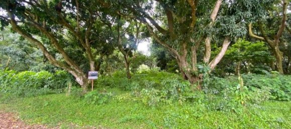 terrain à vendre à San Mateo, San Mateo , Alajuela, Costa Rica № 1563 3