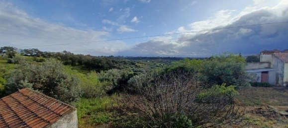 3 Schlafzimmer Haus in Torres Novas, Portugal, Nr. 192144 13