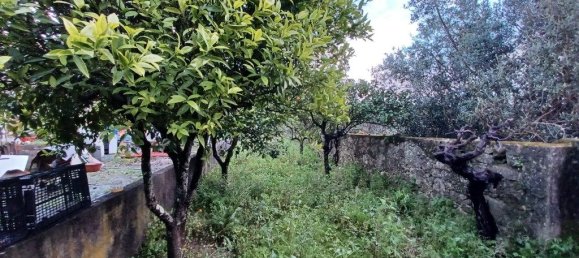 3 Schlafzimmer Haus in Torres Novas, Portugal, Nr. 192144 26