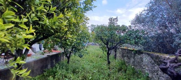 3 Schlafzimmer Haus in Torres Novas, Portugal, Nr. 192144 27