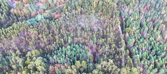  Land in Tondela, Portugal No. 190388 4