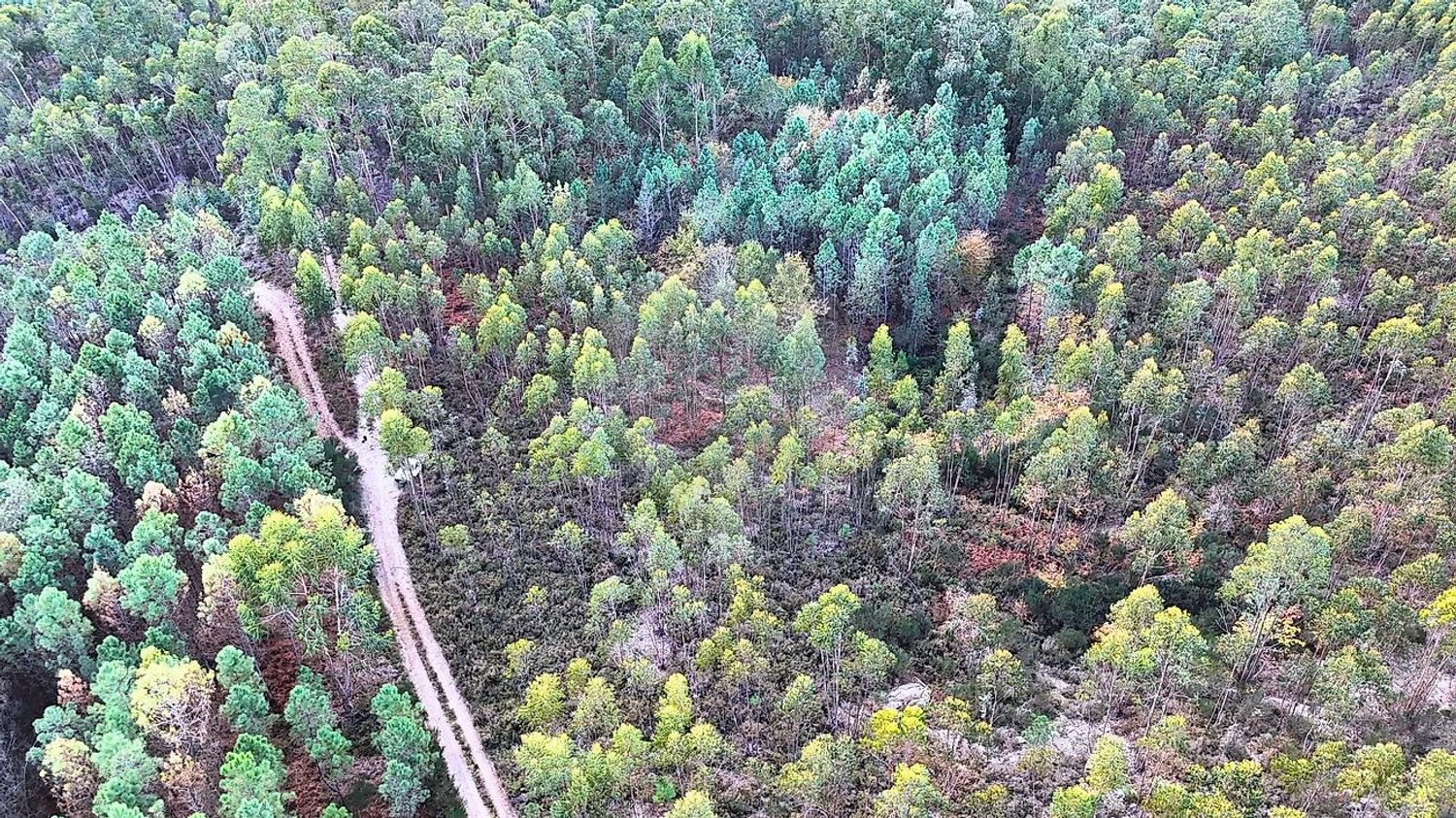  Land in Tondela, Portugal No. 190388