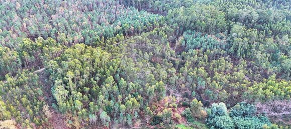  Land in Tondela, Portugal No. 190388 3